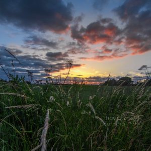Natur