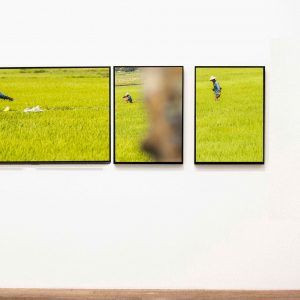 Farmer I Farver - serie