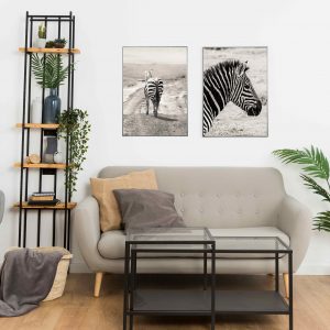 Grå Zebra - serie