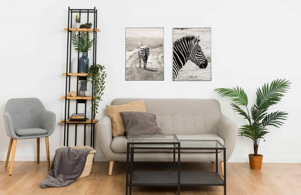 Grå Zebra - serie