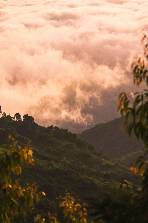 Røde Sky