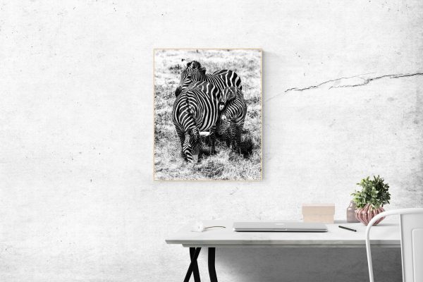 Zebra Family Grå - Image 2