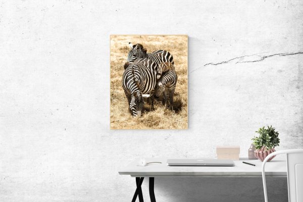 Zebra Family - Image 2