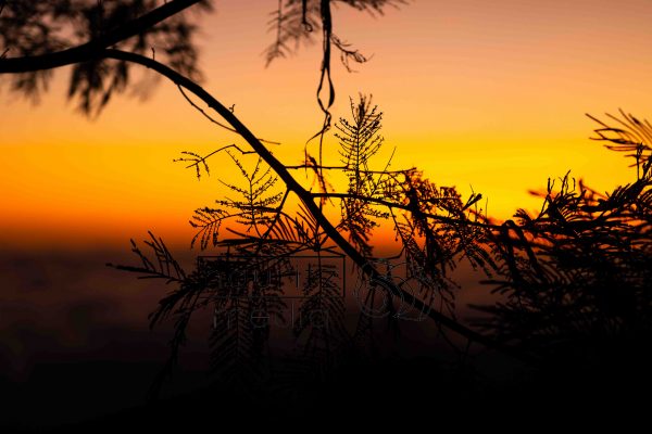 Sunrise - serie - Image 4