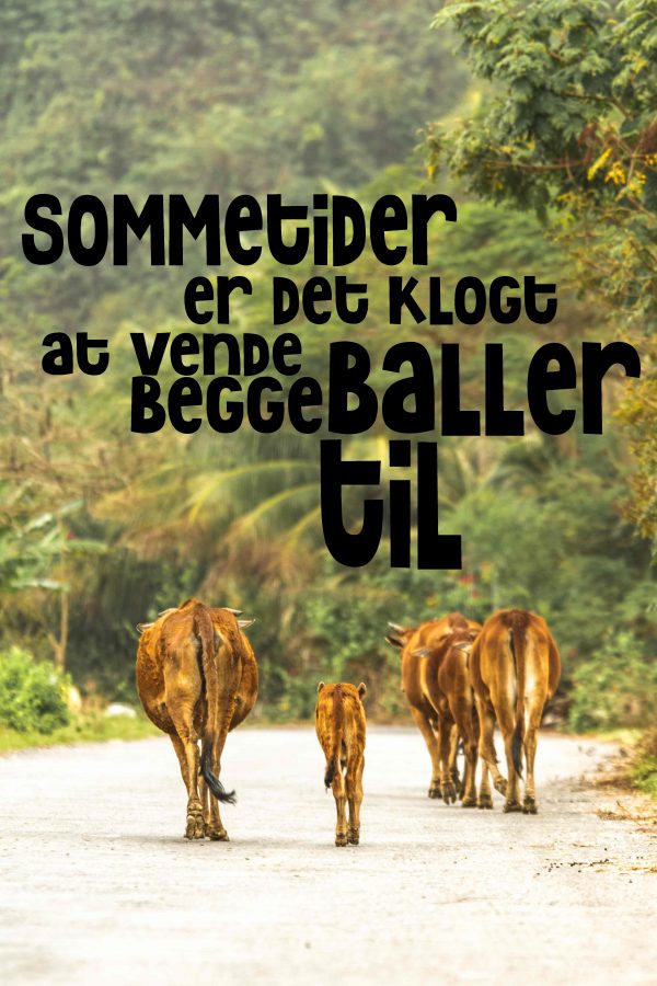 Ballerne - Image 2