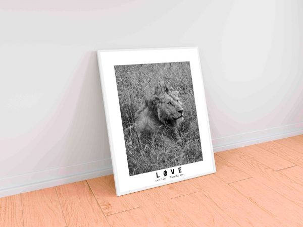 Løven Animalia - Image 2