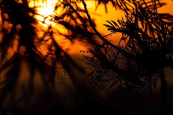 Sunrise - serie - Image 3